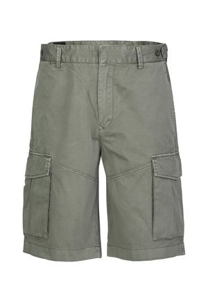 COMPONENTE - Shorts - grey military