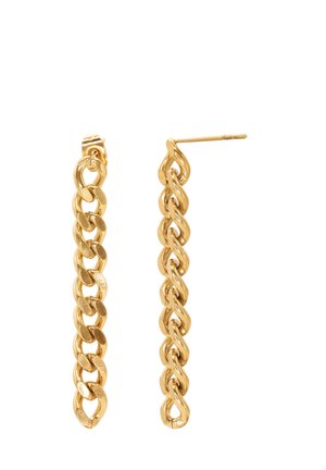 Earrings - goldfarbend