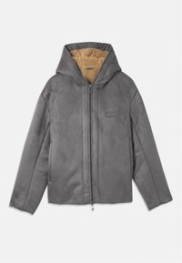BLOUSON - Veste d'hiver - dark gull grey