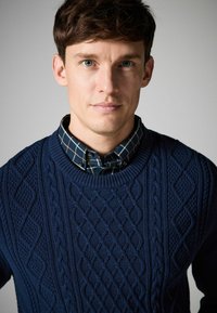 Pulover tricotat cu fir răsucit, de culoare bleu marin, cu decolteu rotund, purtat peste o cămașă cu carouri închise, cu guler butonat. Modele texturate vizibile.