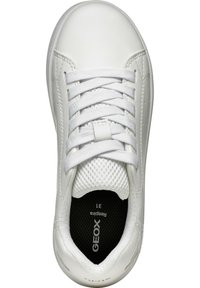 Baskets blanches avec un extérieur en cuir lisse, bout rond, lacets plats et des détails en mesh au niveau de la languette. Présente un logo sur la semelle intérieure.