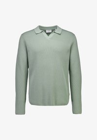 Unausgewählt, sage green