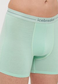 Boksarice v mint zelenem odtenku, izdelane iz mehkega in lahkega materiala. Imajo gladek pas z blagovno znamko "icebreaker" in kontrastnimi šivi.