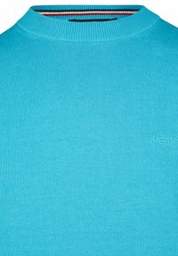 Türkiser Strickpullover mit einem gerippten Rundhalsausschnitt, ausgestattet mit einem dezenten gestickten Logo. Glatte Textur mit einem einfarbigen Muster.