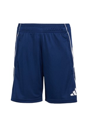 FUSSBALL - Kurze Sporthose - blaublau
