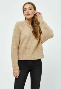 Desires DSEMMY RAGLAN CROP - Trui - cement
