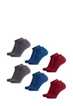 LOW-CUT BAMBOO 6 PACK - Sukat - grey/oxford blue/wine red