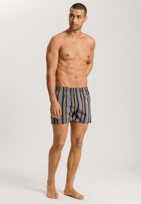 Hanro FANCY - Caleçon - ocean stripe