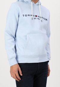 Felpa con cappuccio di colore azzurro chiaro, dotata di tasca frontale e stringhe di regolazione, con il logo "TOMMY HILFIGER" in blu scuro e dettagli rossi. Texture morbida.
