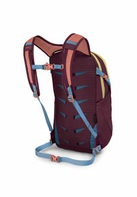 Zaino color bordeaux e turchese con spallacci in mesh imbottiti, fibbie regolabili e un design aerodinamico. Presenta un tessuto morbido e dettagli angolari.