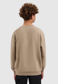 Beige crewneck sweatshirt met lange mouwen, ribgebreide manchetten en zoom. Getextureerde stof, ontspannen pasvorm, gezien vanuit de achterkant.