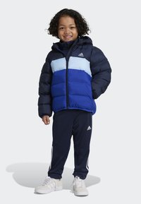 adidas Performance KIDS UNISEX - Giacca invernale - legend ink/clear sky/semi lucid blue