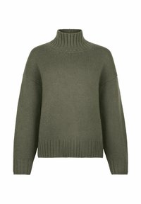 Sweter z golfem w oliwkowym odcieniu, dzianinowy, z długimi rękawami oraz prążkowanymi mankietami i dołem, prezentowany na białym tle.