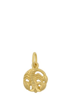 Goldanhänger mit detailliertem Skorpion-Design auf rundem Hintergrund und angebrachtem Öse für eine Kette oder ein Armband.