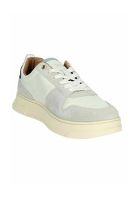 Sneaker bianco con una combinazione di pelle liscia e camoscio grigio. Presenta una suola piatta, punta rotonda e design con lacci. Accenti in occhioletto dorato.