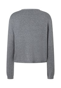 Grauer, langärmeliger Strickpullover mit rundem Halsausschnitt, gerippten Bündchen und geripptem Saum, von hinten gezeigt.
