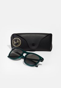 Ochelari Ray-Ban cu lentile gri închis, ramă transparentă verde; acompaniati de o husă texturată neagră cu logo auriu și închidere tip clapetă.