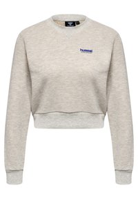 Ljusgrå kort sweatshirt med långa ärmar, texturerat tyg, ribbad muddar och en liten blå logotyp på framsidan.