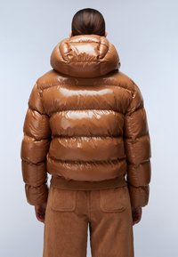 Napapijri GLANE - Winterjas - brown tobaco