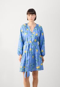 Rochie albastră cu imprimeu de lămâie și frunze verzi, decolteu în V, mâneci lungi și puffate, și talie cu brâu. Are o fustă în straturi și material moale.