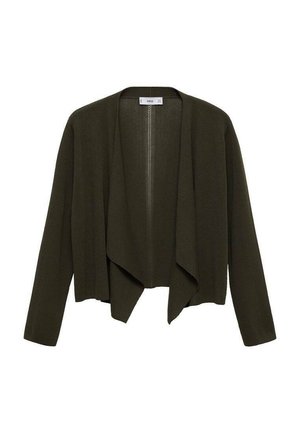 Cardigan ușor de culoare verde măslin, cu un front deschis, mâneci lungi și o siluetă drapată. Fabricat dintr-un material moale, texturat.