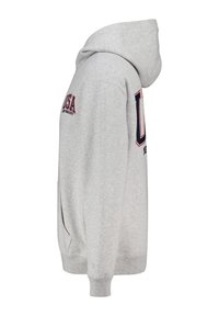 Light gray hoodie with a kangaroo pocket, featuring a large "USA" print and text details. Soft fabric, ribbed cuffs, and a drawstring hood.