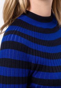 Modrý a černý pruhovaný svetr s žebrovanou texturou, vybavený vysokým límcem a dlouhými rukávy, zdůrazňující výrazné horizontální pruhy.