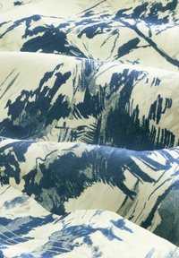 LONG SLEEVE - Košilová halenka  - blue scenic print