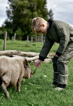 mikk-line Skibroek - dusty olive