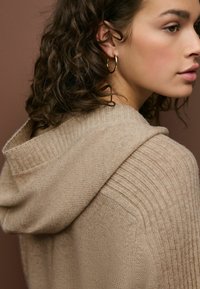 Next Kapuzenpullover - neutral