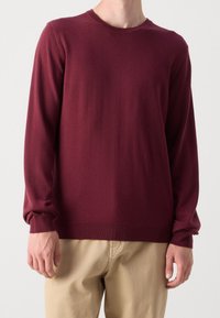 Bordeauxfarbener Pullover mit langen Ärmeln, Rundhalsausschnitt, gerippten Bündchen und Saum. Glatte Textur, lässige Passform und minimalistisches Design.