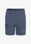 TURBULENCE UNISEX - Lauko šortai - evening sky