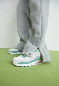 AIR MAX 90 - Sportbačiai - photon dust/silver/cannon/college grey/white
