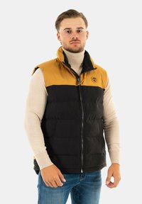 DWR WELCH MOUNTAIN  - Bodywarmer - beige
