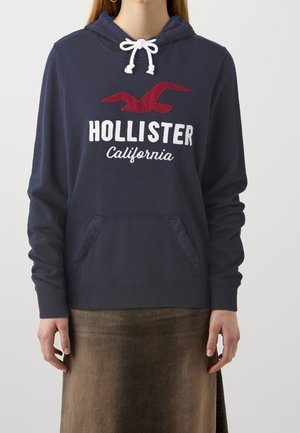 Persoon draagt een marineblauwe hoodie met witte trekkoorden, rode meeuwenlogo, tekst "HOLLISTER California" en een bruine rok.