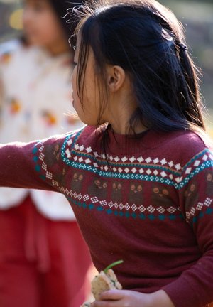 Knit sweater with a maroon base, blue accents, and bear patterns. Texture appears soft, with a crew neck and fitted sleeves.