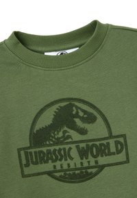 Groene sweatshirt met een geribde ronde hals. Gedecoreerd met een donkergroene Jurassic World 'Rebirth' grafiek in het midden. Zachte textuur.