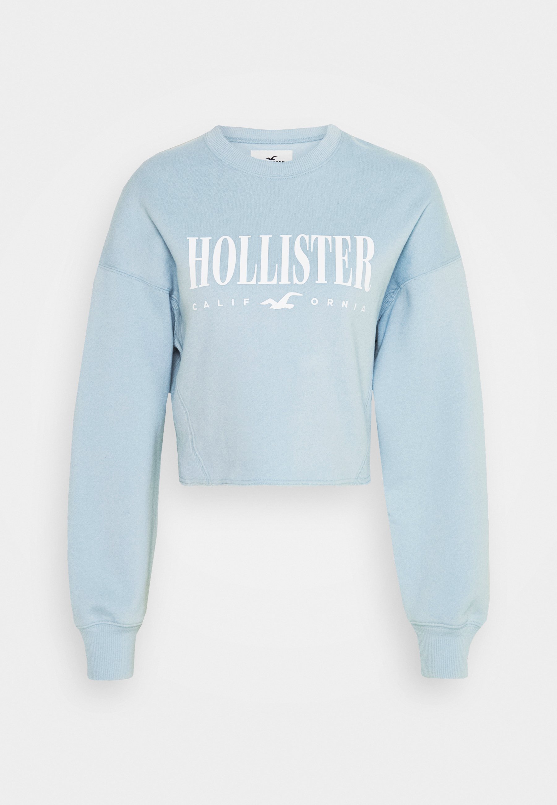 blue hollister sweatshirt