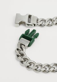 Catena metallica con anelli lucidi argentati, dotata di un gancio in plastica verde e un fermo metallico argentato. Il gancio presenta un design unico con due punte.