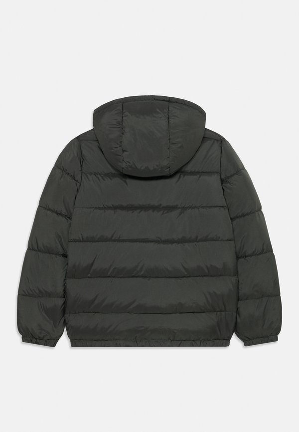 JUNIOR HOODER JACKET ZIP - Light jacket3