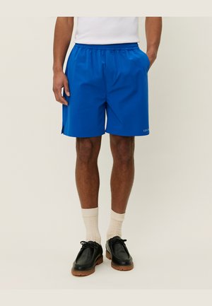 RAPHAEL - Shorts - blue lolite