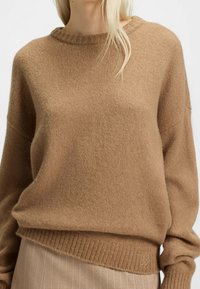 Pull tricoté marron avec un col rond, un ourlet côtelé et une texture douce. Présente un branding discret sur le côté inférieur. Coupe simple et décontractée.