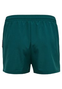 Donkergroene zwemshorts gemaakt van een gladde stof, met een elastische tailleband en zonder zichtbare zakken of versieringen.