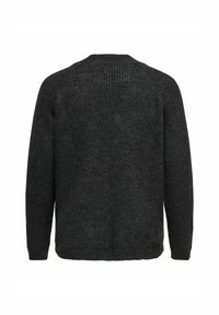Dunkelgrauer gestrickter Pullover mit langen Ärmeln, von hinten auf einem weißen Hintergrund gezeigt.