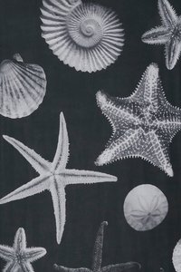 Tecido preto com ilustrações brancas de várias conchas e estrelas do mar, destacando detalhes como textura e padrões.