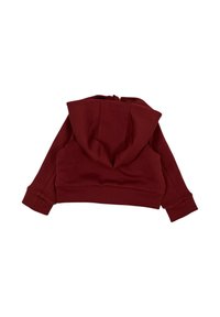 Hoodie corto color marrone realizzato in materiale morbido, con un ampio cappuccio, maniche lunghe e polsini a coste. Design semplice senza decorazioni visibili.