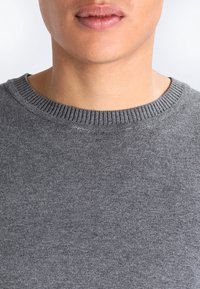 Grau melierter Rundhalspullover aus einem weichen Strickstoff, mit einem gerippten Kragen und glatter Textur, ohne zusätzliche Muster oder Akzente.