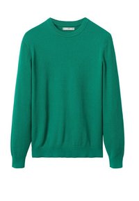 Grüner langärmeliger Strickpullover mit Rundhalsausschnitt und gerippten Bündchen und Saum, flach auf einem weißen Hintergrund liegend.