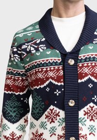 Redefined Rebel SANTA CARDIGAN REGULAR FIT - Cardigan - fir