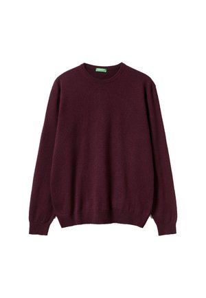 CREW NECK - Strickpullover - red